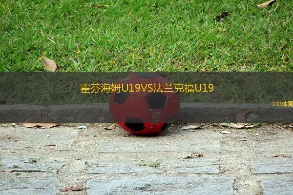 霍芬海姆U19VS法蘭克福U19
