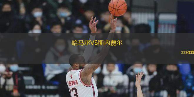 哈馬爾VS斯內(nèi)費爾
