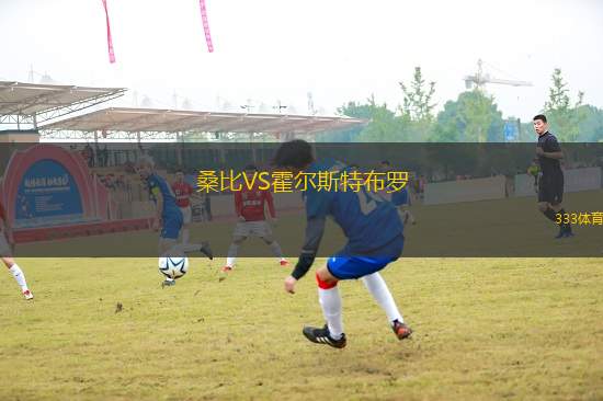 桑比VS霍爾斯特布羅