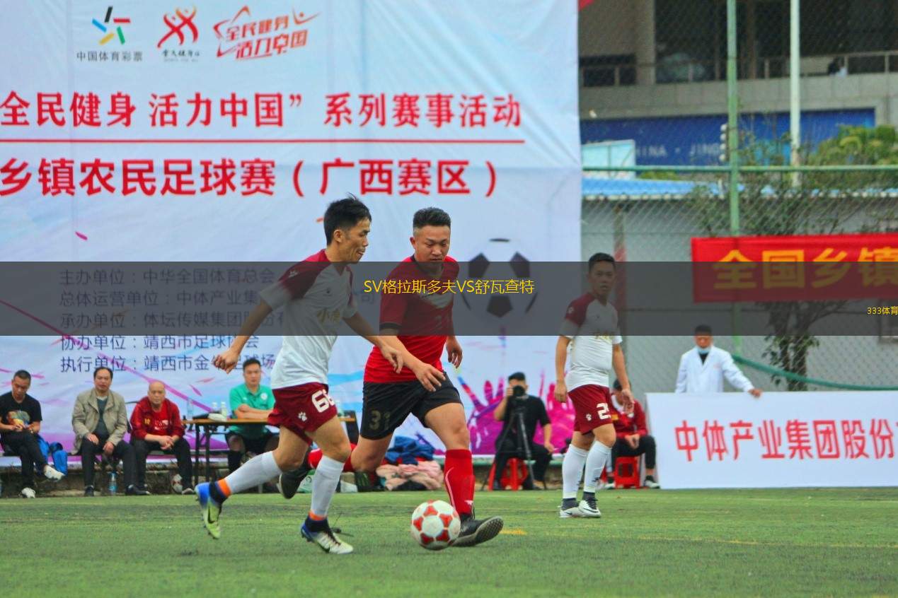 SV格拉斯多夫VS舒瓦查特