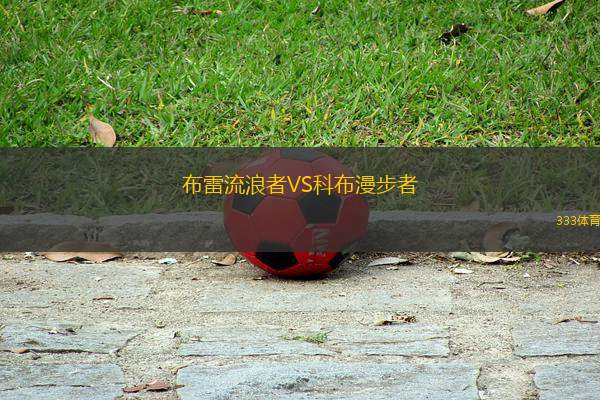 布雷流浪者VS科布漫步者