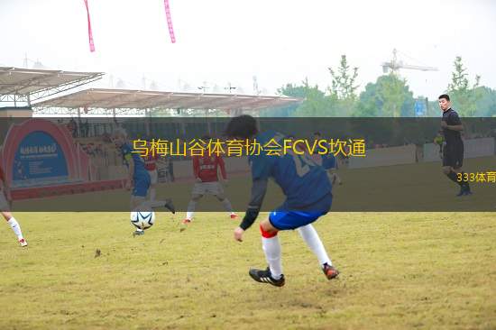 烏梅山谷體育協(xié)會FCVS坎通