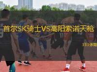 首爾SK騎士VS高陽索諾天槍
