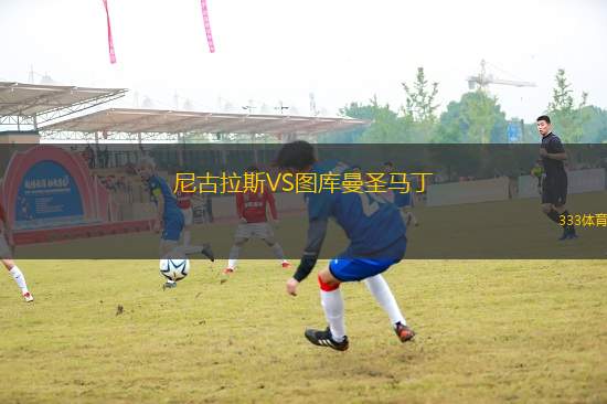 尼古拉斯VS圖庫曼圣馬丁