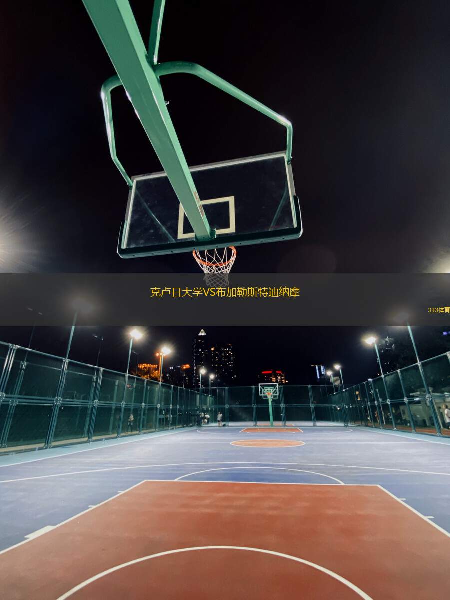 克盧日大學(xué)VS布加勒斯特迪納摩