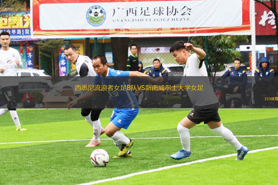 西悉尼流浪者女足B隊VS新南威爾士大學女足