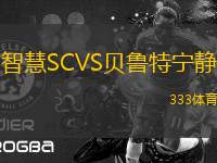 智慧SCVS貝魯特寧?kù)o