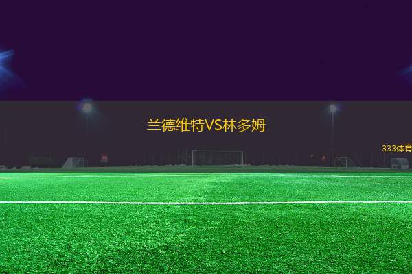蘭德維特VS林多姆