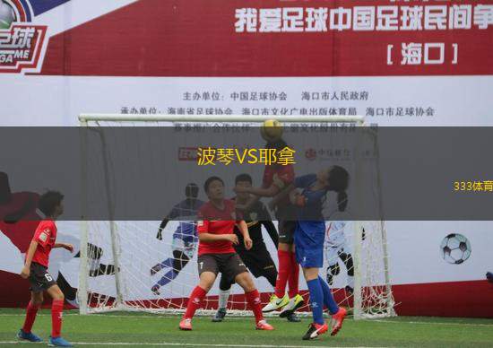 波琴VS耶拿