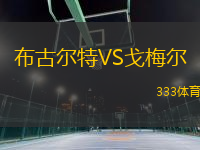 布古爾特VS戈梅爾