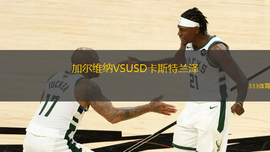加爾維納VSUSD卡斯特蘭澤