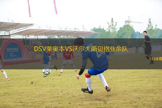 DSV萊奧本VS沃爾夫斯貝格業(yè)余隊(duì)