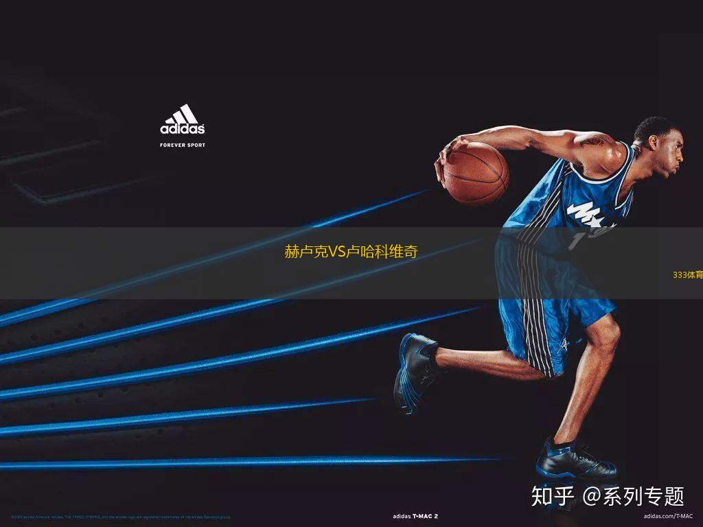 赫盧克VS盧哈科維奇