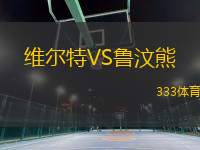 維爾特VS魯汶熊