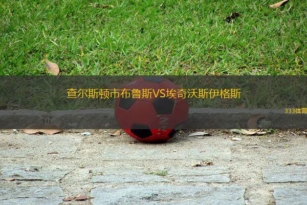 查爾斯頓市布魯斯VS埃奇沃斯伊格斯