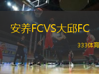 安養(yǎng)FCVS大邱FC