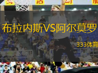 布拉內(nèi)斯VS阿爾莫羅