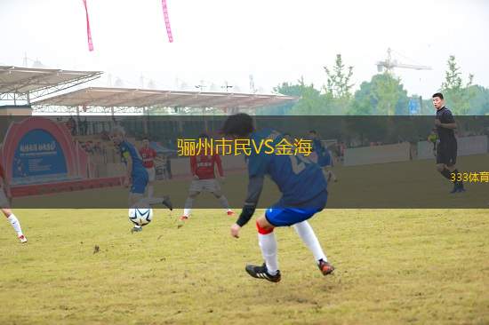 驪州市民VS金海