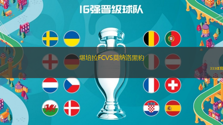 堪培拉FCVS莫納洛黑豹