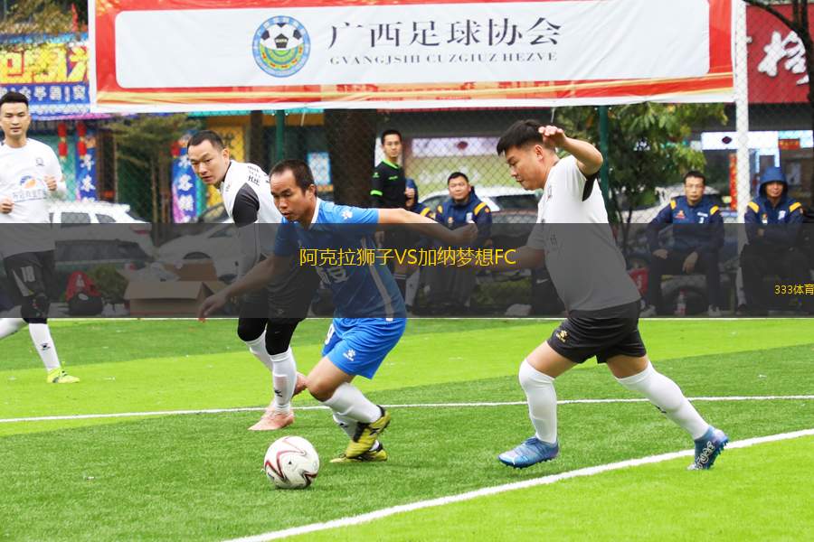 阿克拉獅子VS加納夢(mèng)想FC