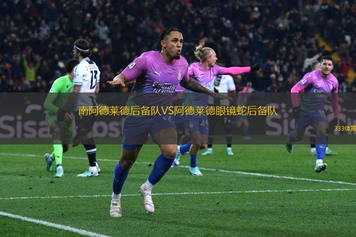 南阿德萊德后備隊VS阿德萊德眼鏡蛇后備隊