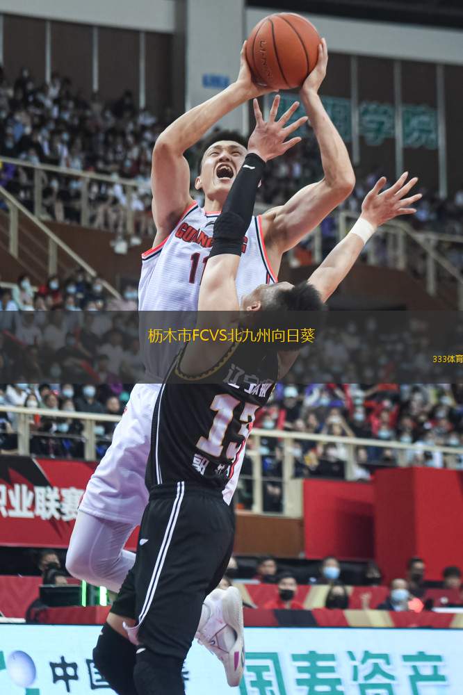 櫪木市FCVS北九州向日葵