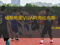 維斯特里VSIA阿克拉內(nèi)斯